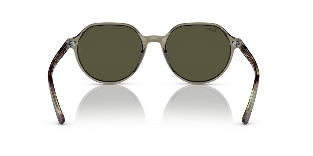 Ray-Ban RB2195 THALIA 66355C 53