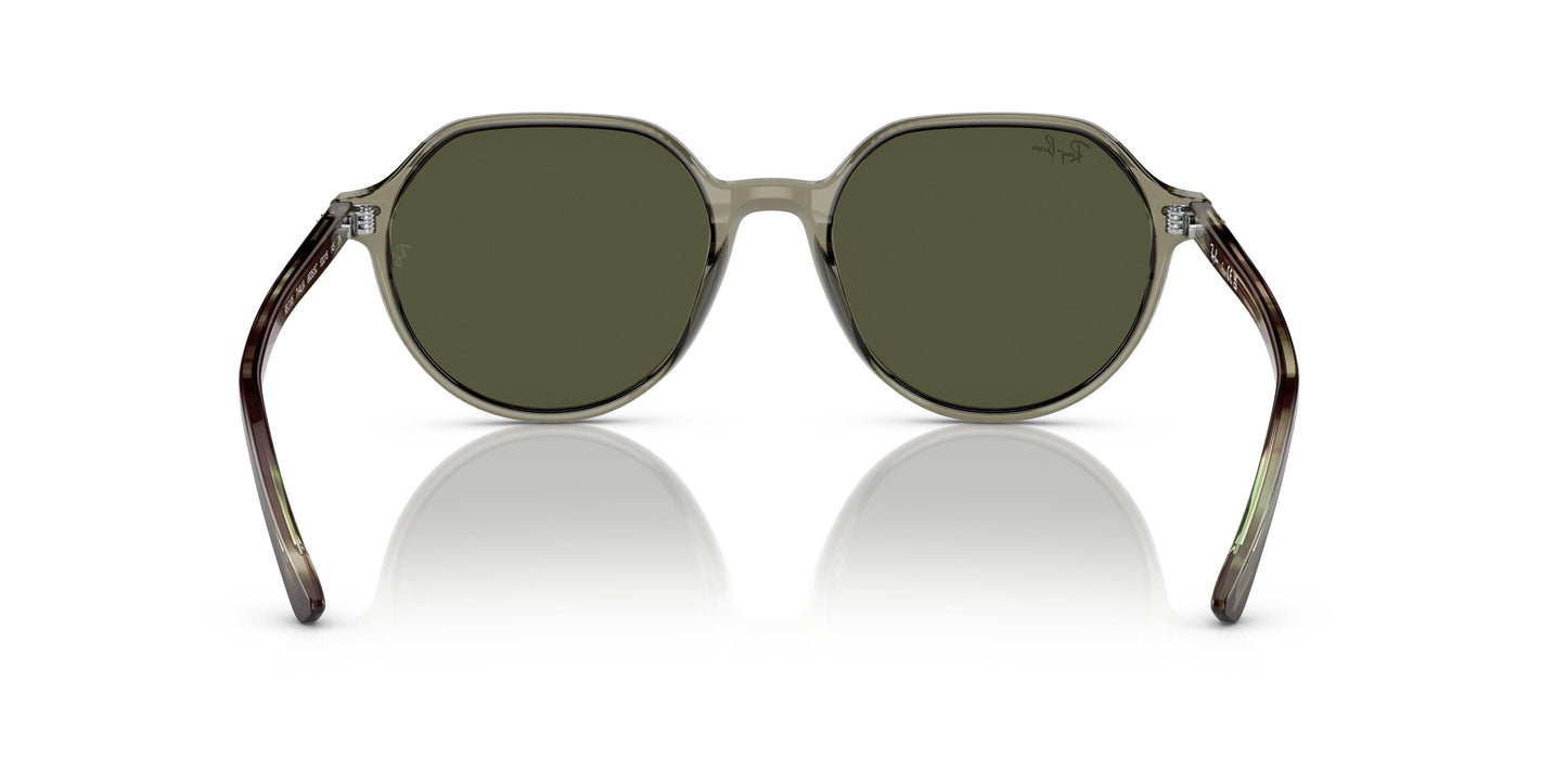 Ray-Ban RB2195 THALIA 66355C 53