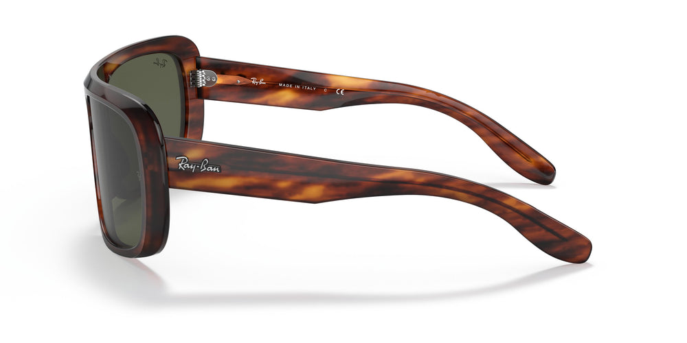 Ray-Ban RB2196 BLAIR 954/31 64