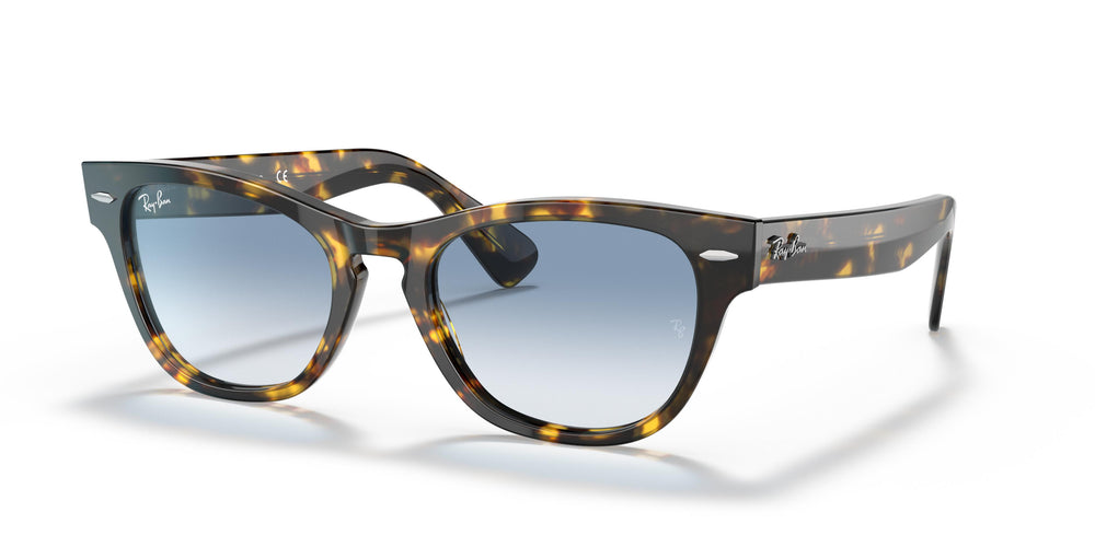 Ray-Ban RB2201 LARAMIE 133451 54