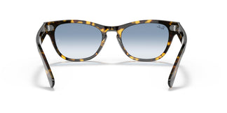 Ray-Ban RB2201 LARAMIE 133451 54