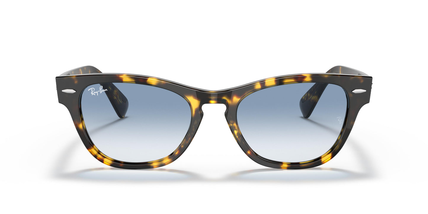 Ray-Ban RB2201 LARAMIE 133451 54