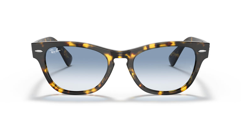 Ray-Ban RB2201 LARAMIE 133451 54