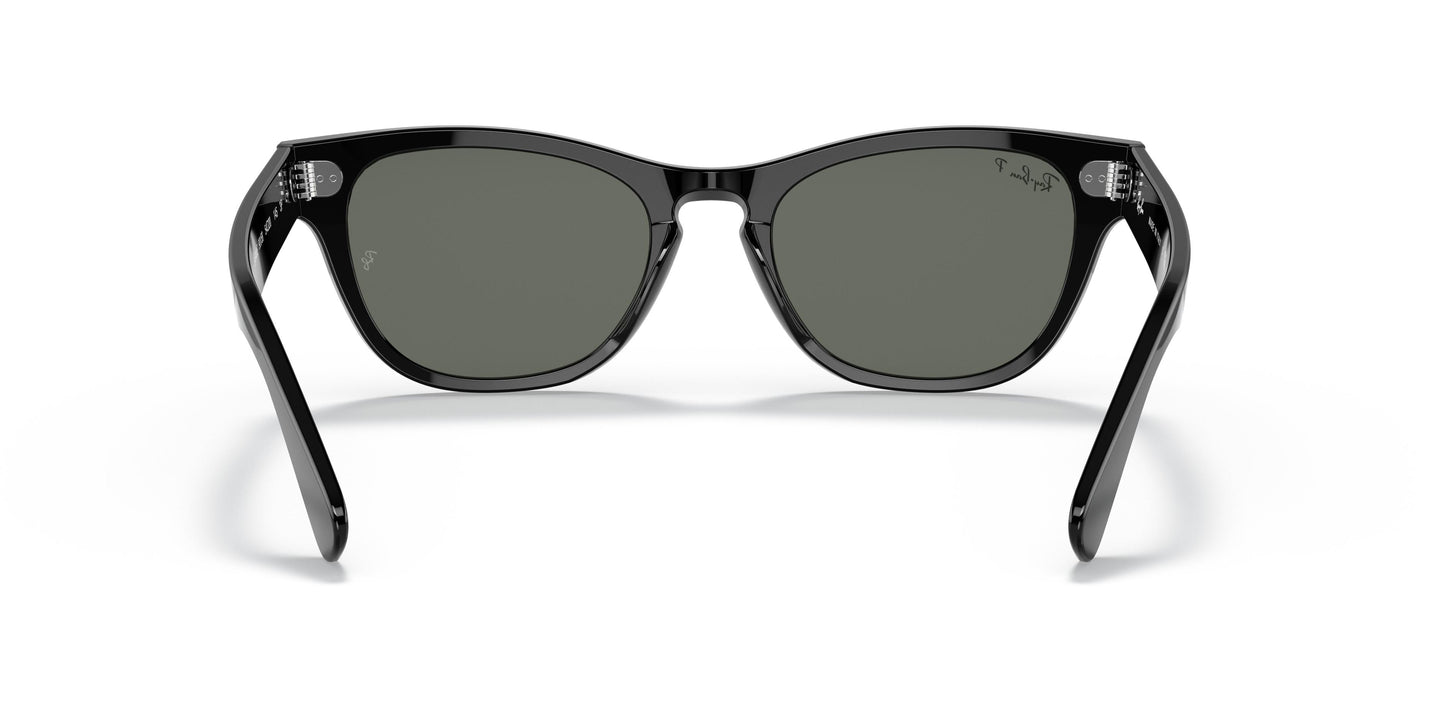 Ray-Ban RB2201 LARAMIE 901/58 54