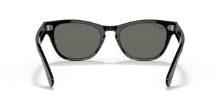 Ray-Ban RB2201 LARAMIE 901/58 54