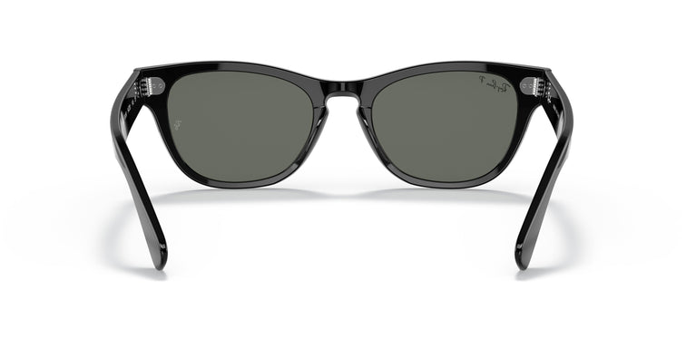 Ray-Ban RB2201 LARAMIE 901/58 54