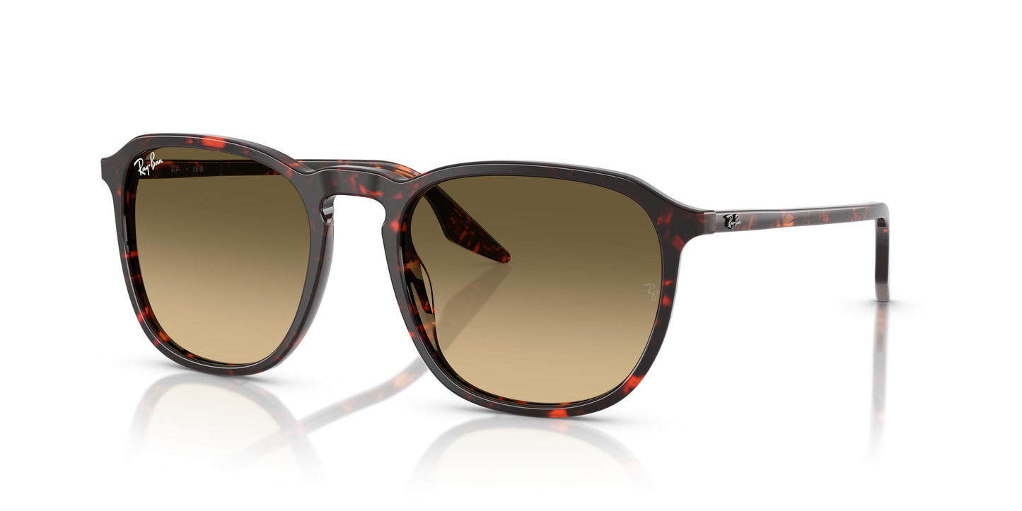 Ray-Ban RB2203 14290A 52