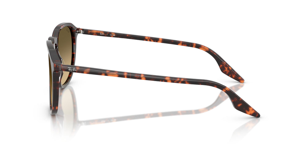 Ray-Ban RB2203 14290A 55