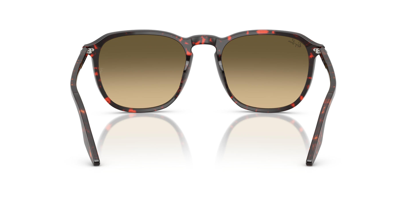 Ray-Ban RB2203 14290A 52