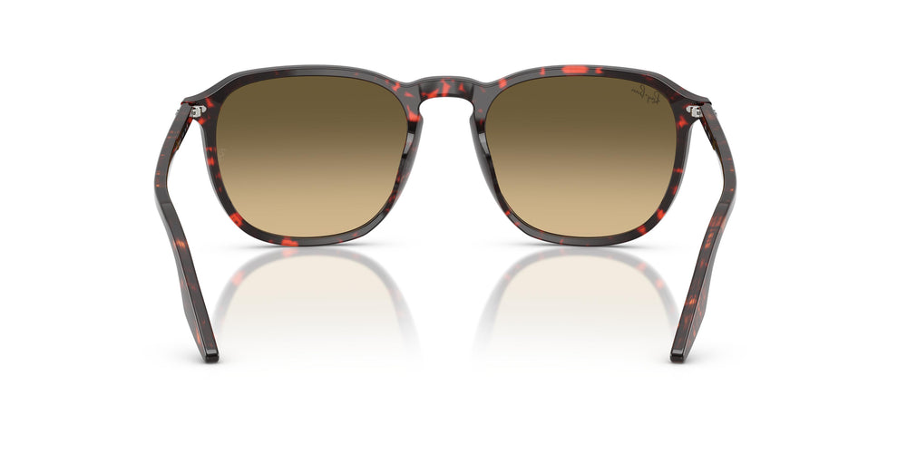 Ray-Ban RB2203 14290A 55