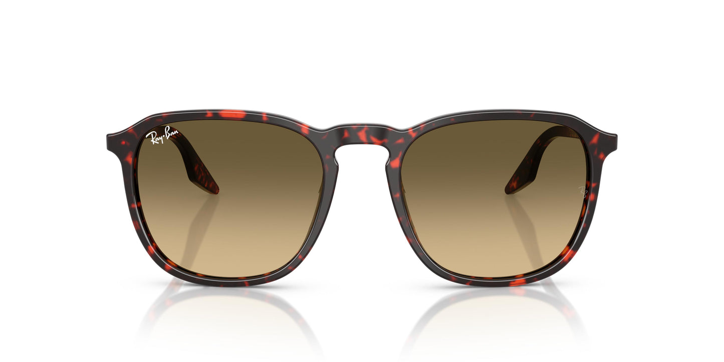 Ray-Ban RB2203 14290A 55