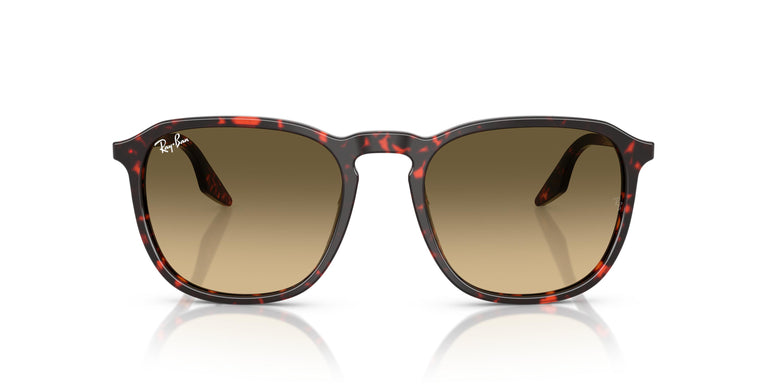 Ray-Ban RB2203 14290A 55
