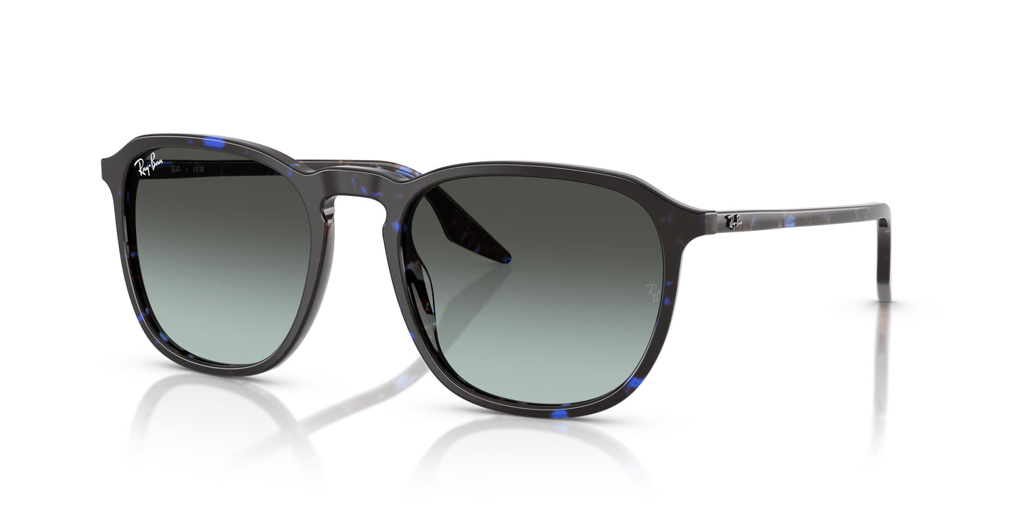 Ray-Ban RB2203 1430GK 52