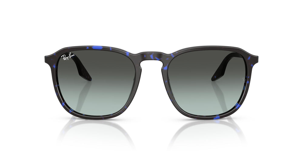 Ray-Ban RB2203 1430GK 55