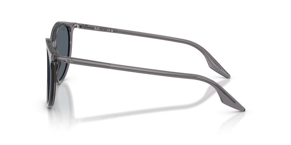 Ray-Ban RB2204 1399R5 51