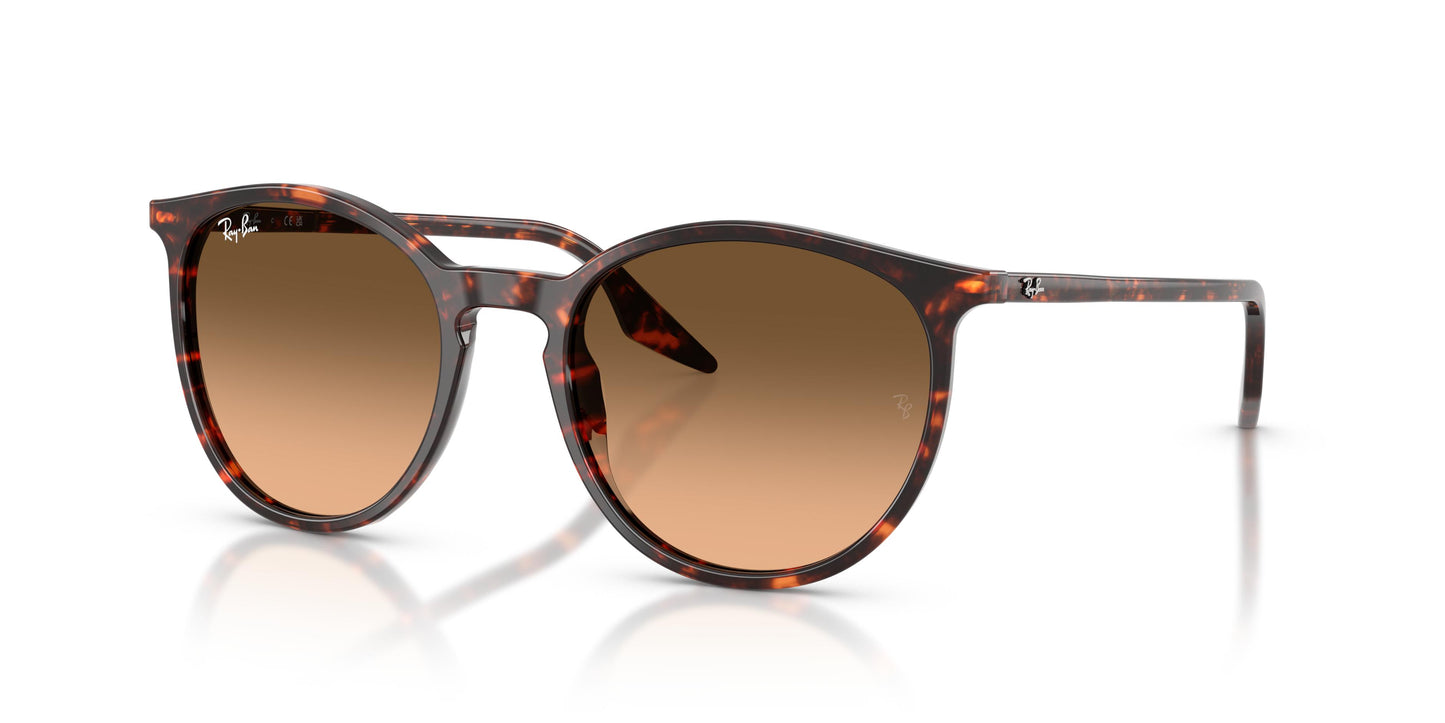 Ray-Ban RB2204 14293B 51