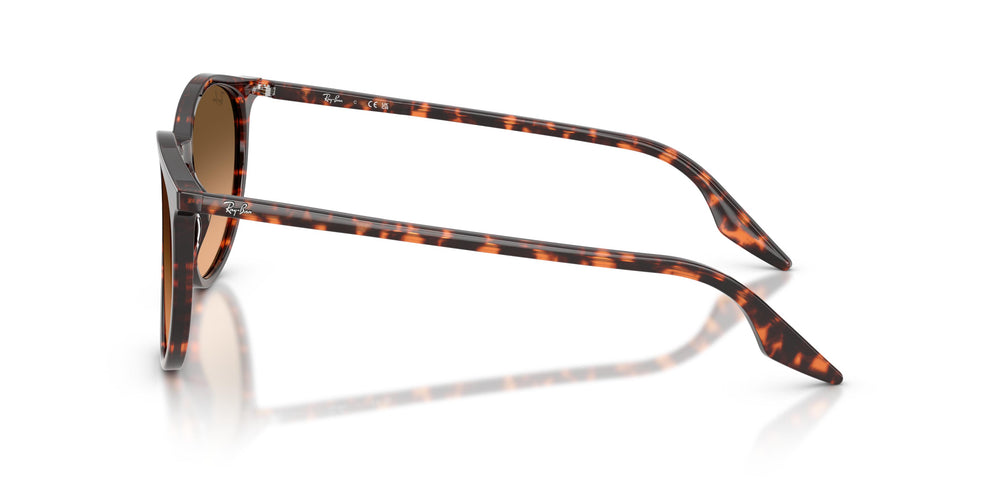 Ray-Ban RB2204 14293B 54