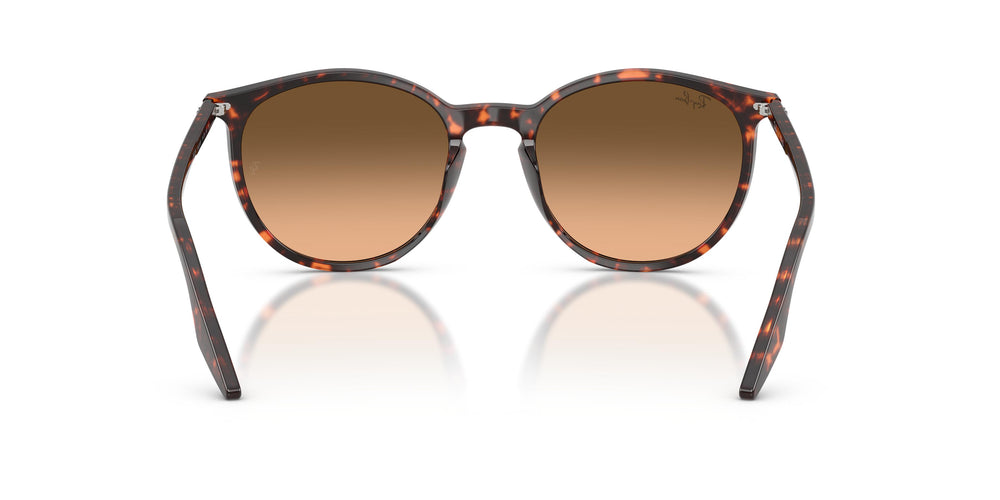 Ray-Ban RB2204 14293B 54