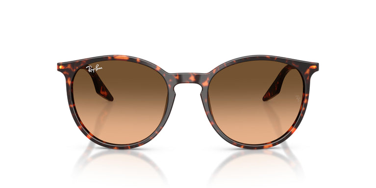 Ray-Ban RB2204 14293B 51