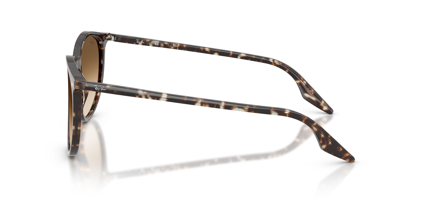 Ray-Ban RB2204 143151 51