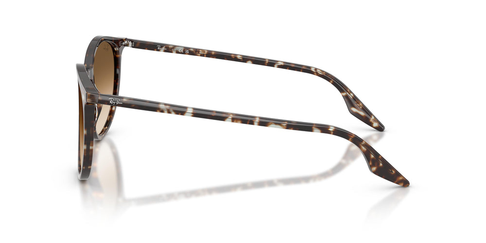 Ray-Ban RB2204 143151 54