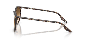 Ray-Ban RB2204 143151 54
