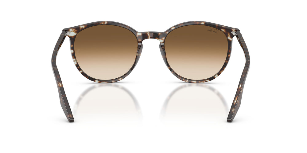 Ray-Ban RB2204 143151 51