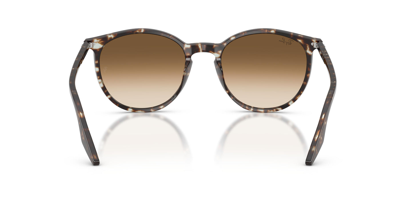 Ray-Ban RB2204 143151 51