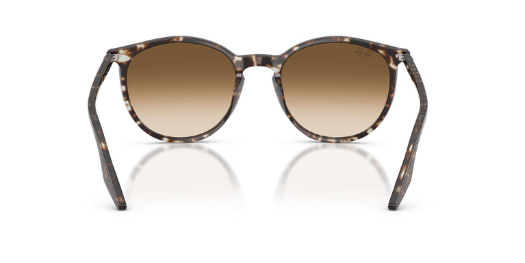 Ray-Ban RB2204 143151 51