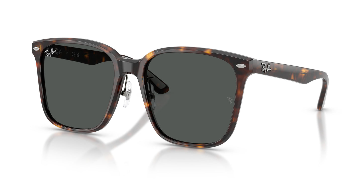 Ray-Ban RB2206D 710/87 57
