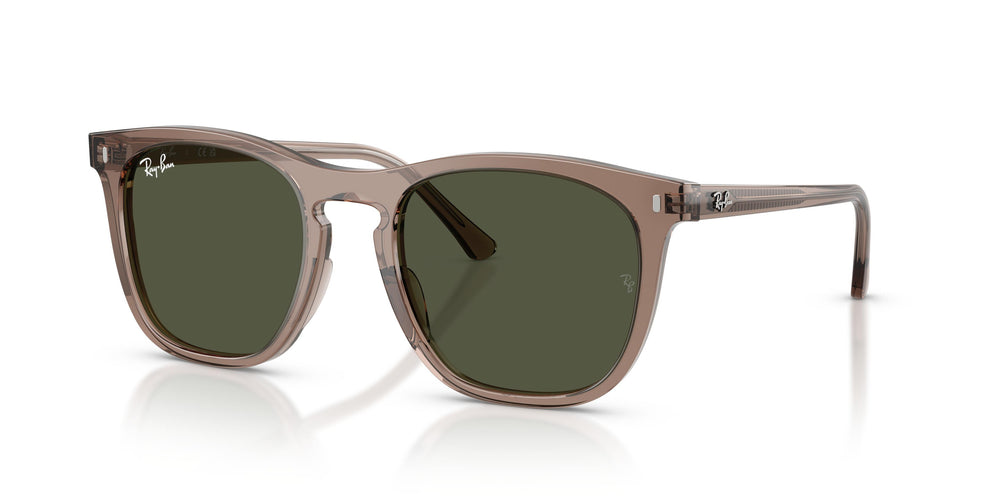 Ray-Ban RB2210 845731 53