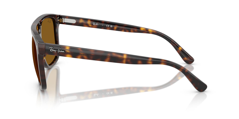 Ray-Ban RB2213 902/33 55