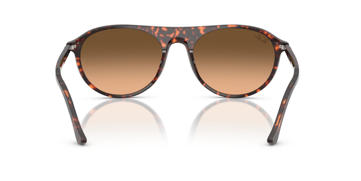 Ray-Ban RB2215 14293B 56