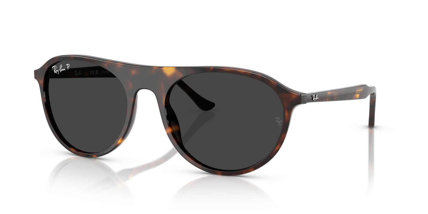 Ray-Ban RB2215 902/48 56