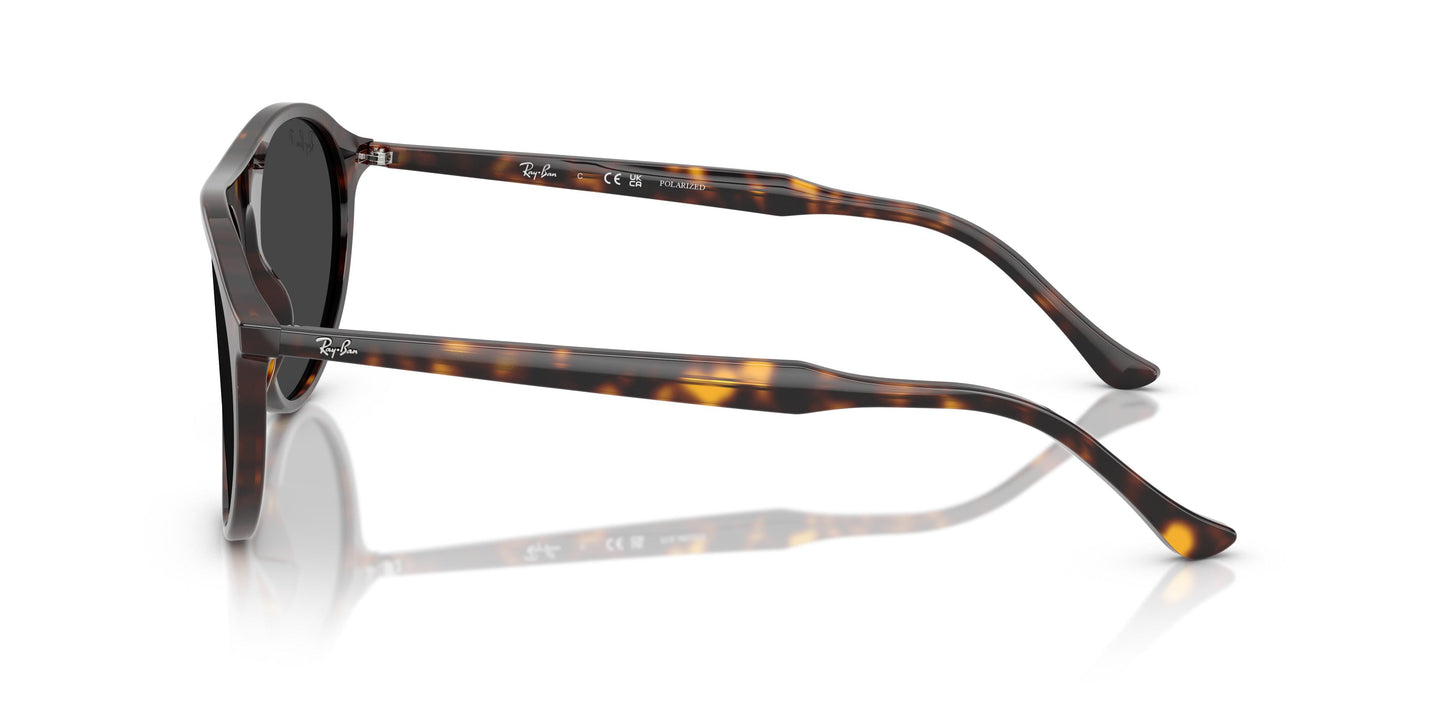 Ray-Ban RB2215 902/48 56