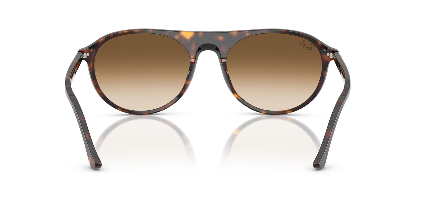 Ray-Ban RB2215 902/51 56