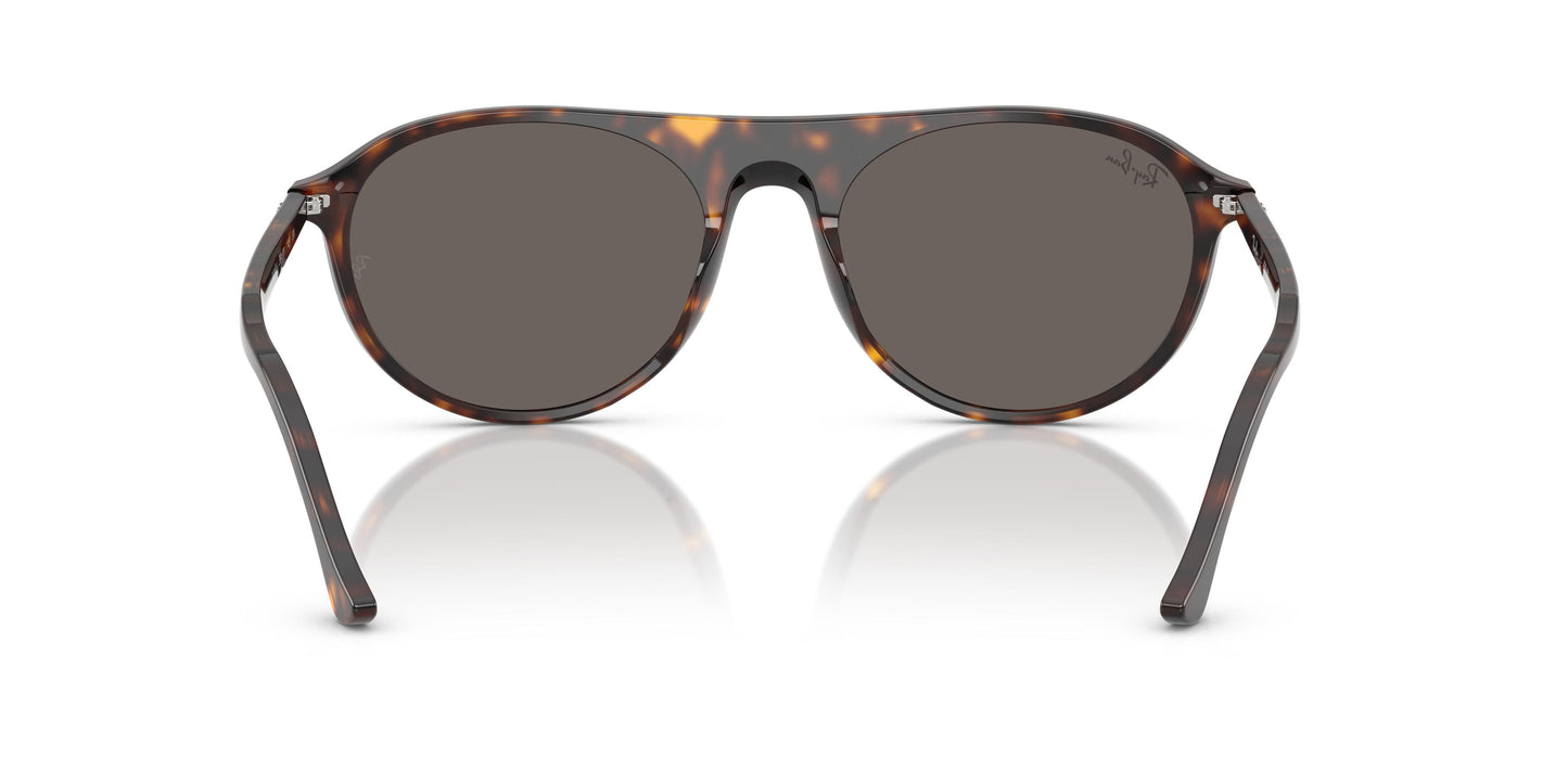 Ray-Ban RB2215 902/B1 56