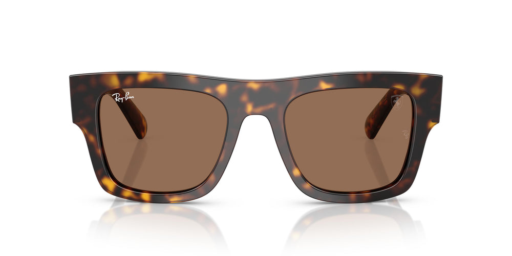 Ray-Ban RB2217M F61373 53