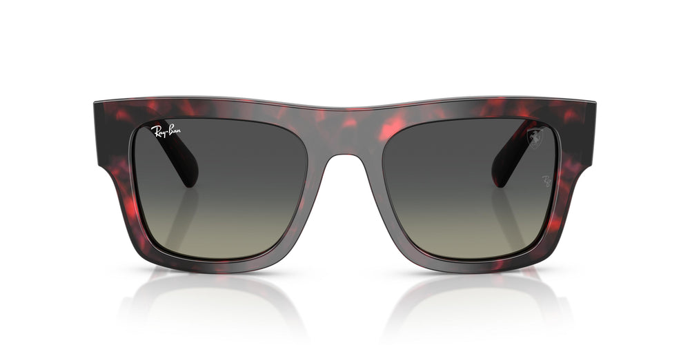 Ray-Ban RB2217M F70511 53