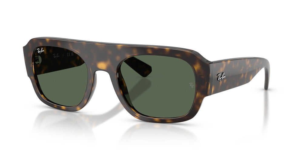 Ray-Ban RB2218 679071 55