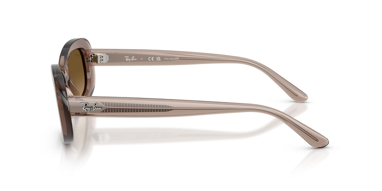 Ray-Ban RB2221 6827M2 53