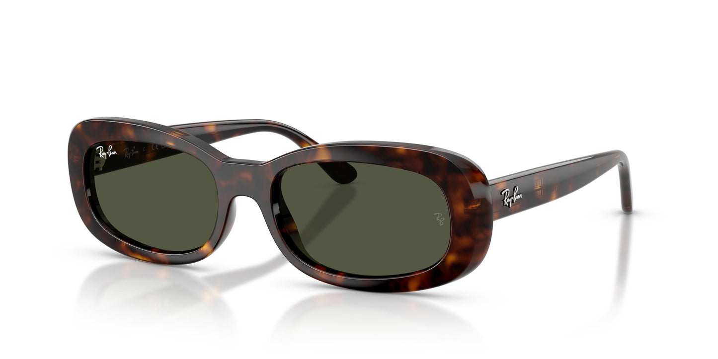 Ray-Ban RB2221 902/31 53