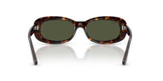 Ray-Ban RB2221 902/31 53