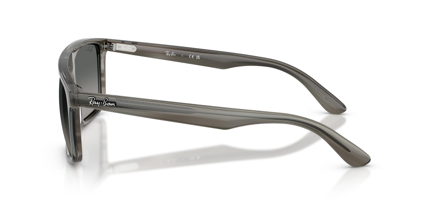 Ray-Ban RB2222 143871 55
