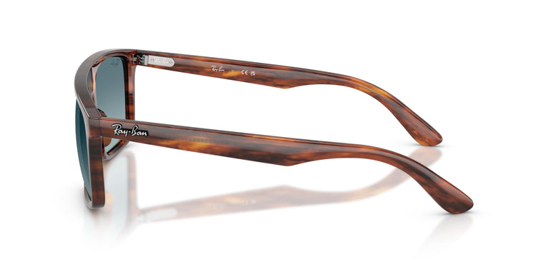 Ray-Ban RB2222 954/3M 55