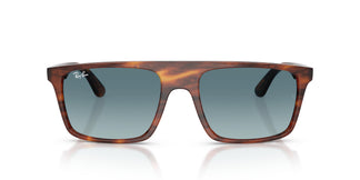 Ray-Ban RB2222 954/3M 55