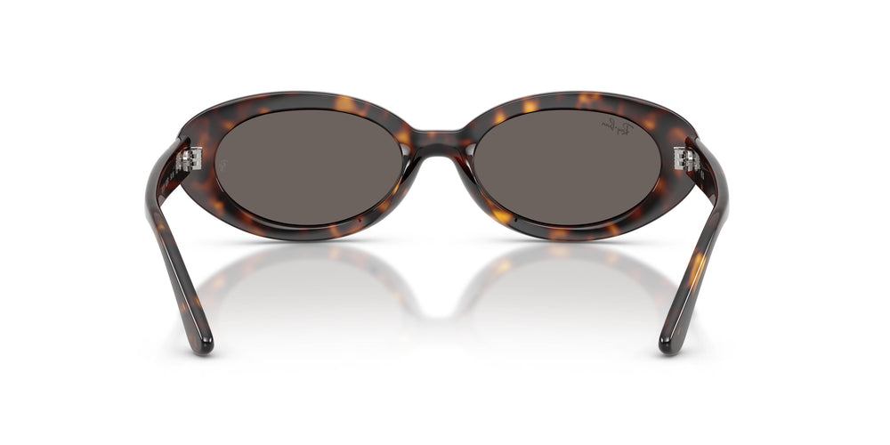 Ray-Ban RB2223 902/B1 54