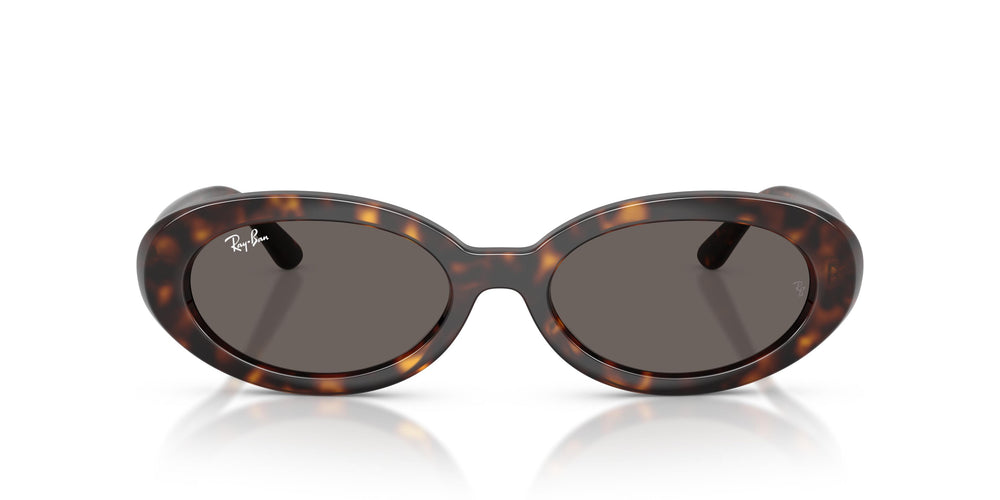 Ray-Ban RB2223 902/B1 54