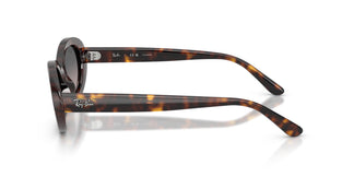 Ray-Ban RB2223 902/M3 54