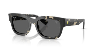 Ray-Ban RB2228M F70387 53